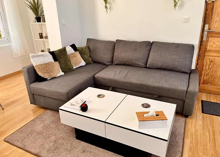 Apartment L'oree Du Jardin T3 Parking