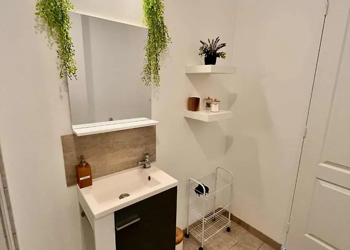 L'oree Du Jardin T3 Parking * Rouen