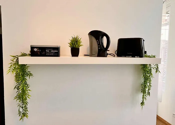 L'oree Du Jardin T3 Parking